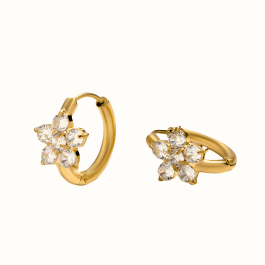 Bella Hoops